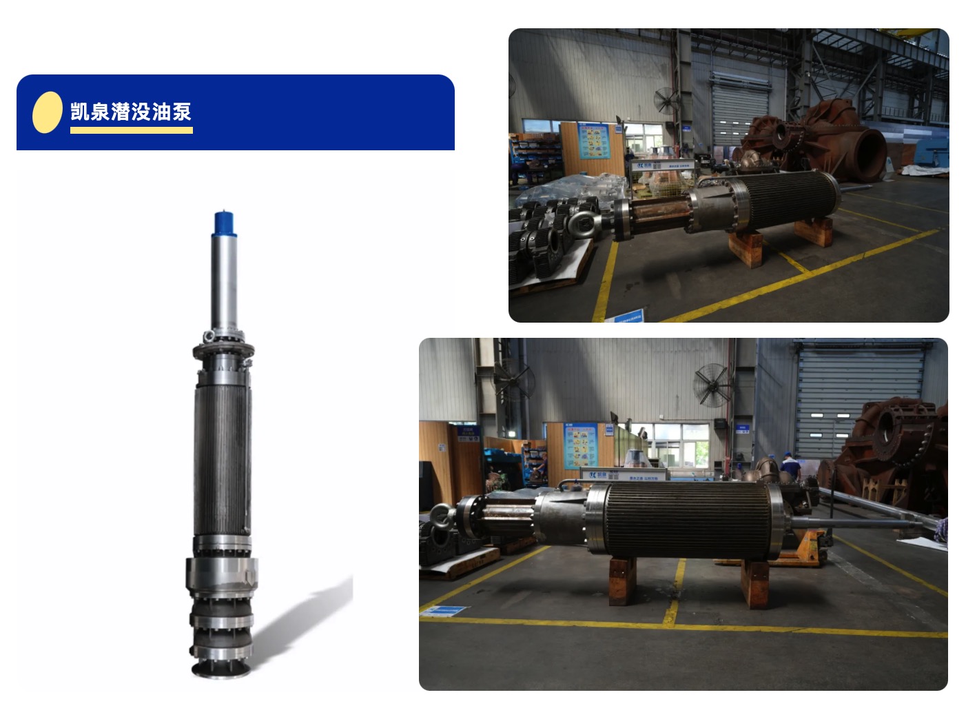 WechatIMG12035 WechatIMG12035